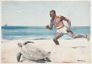 Rum Cay by Winslow Homer